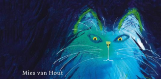 CIAO MICIO! Un albo poetico dedicato ai gatti, Ill. M. van Hout, Edizione Camelozampa 2022