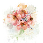 Fiori_Raccontareancora