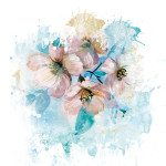 Fiori_RaccontareancoraBlu