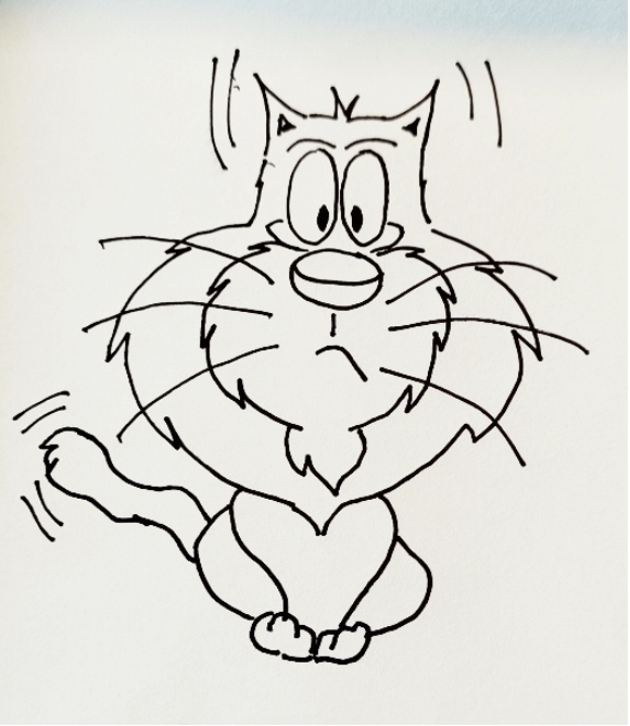 sergio-picherle-silvia-blezza-picherle gatto di Sergio Picherle
